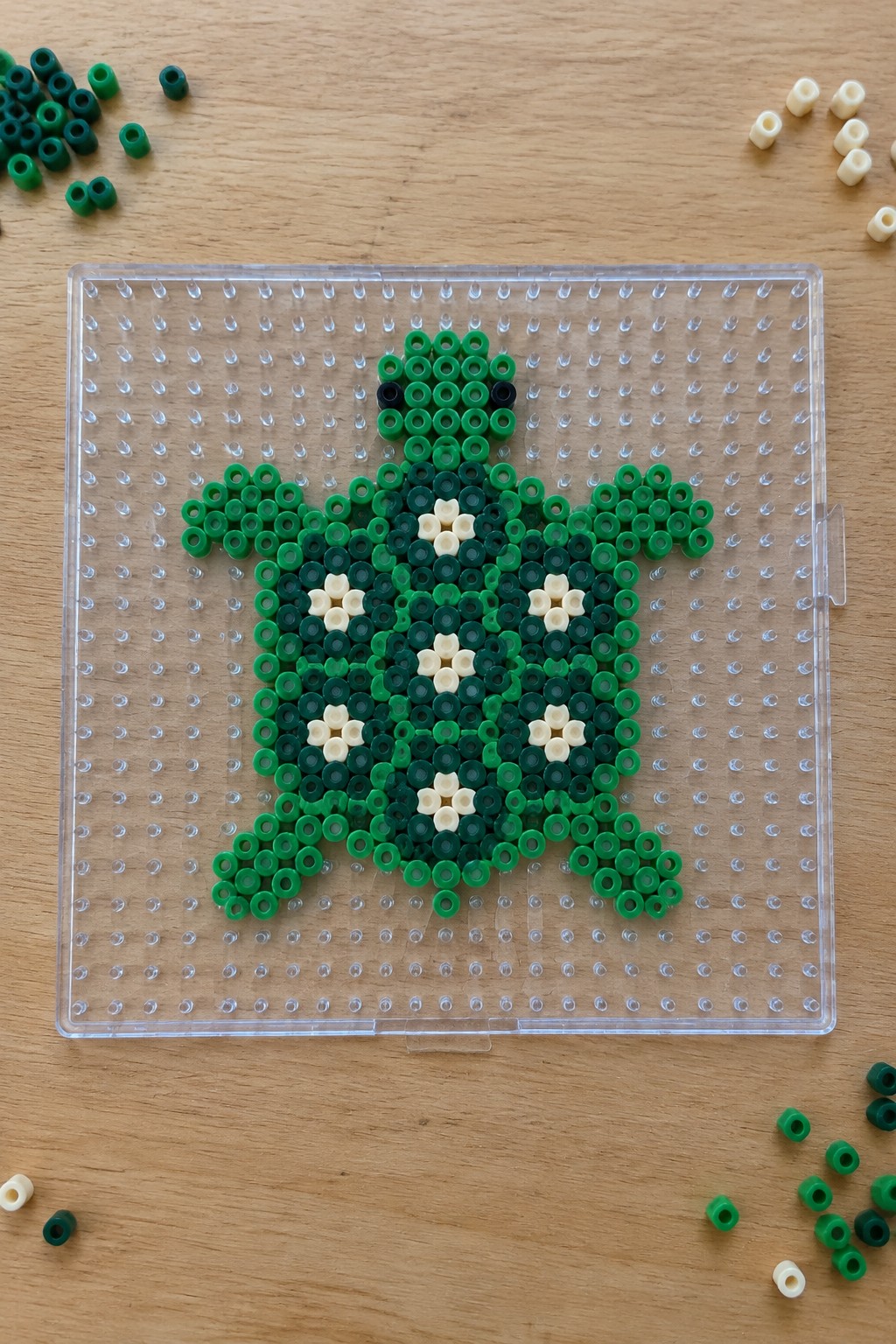 Green perler bead turtle with white flower shell on clear pegboard with loose beads